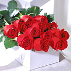 12 Long Stemmed Red Roses Present In A Box