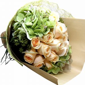 A bouquet style compact composition of quality fresh champagne / pristine white roses, cradled amidst beautiful, seasonal green hydrangea.