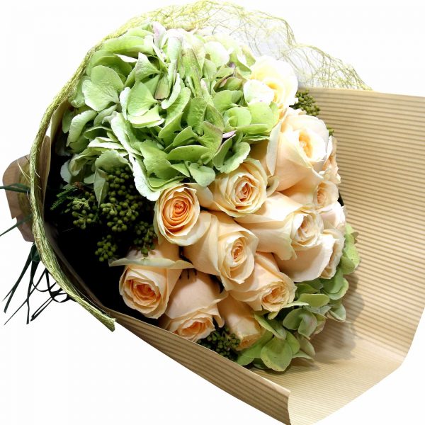 A bouquet style compact composition of quality fresh champagne / pristine white roses, cradled amidst beautiful, seasonal green hydrangea.