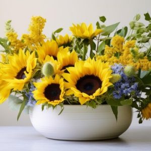 A beautiful colourful bouquet featuring a bright and cheerful array of beautiful fresh Sunflowers and Acacia Pycnantha with blue delphiniums and poppies in bud presented in a white ceramic vase